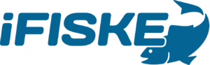 Logo-Blue-Stor-300x93